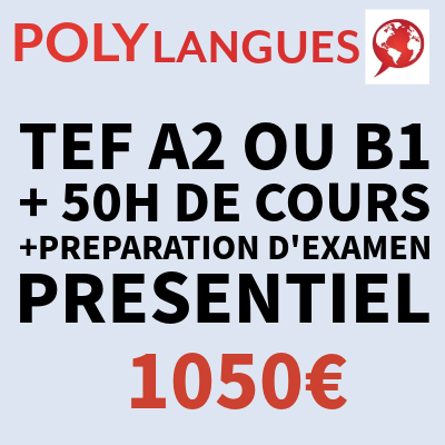 EXAMEN TEF par Polylangues + Cours 50h + Préparation d'examen