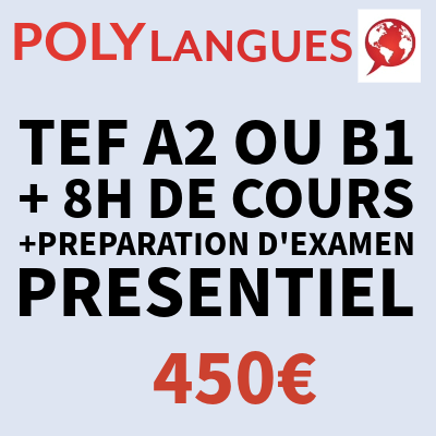EXAMEN TEF par Polylangues + Cours 8H + Préparation d'examen